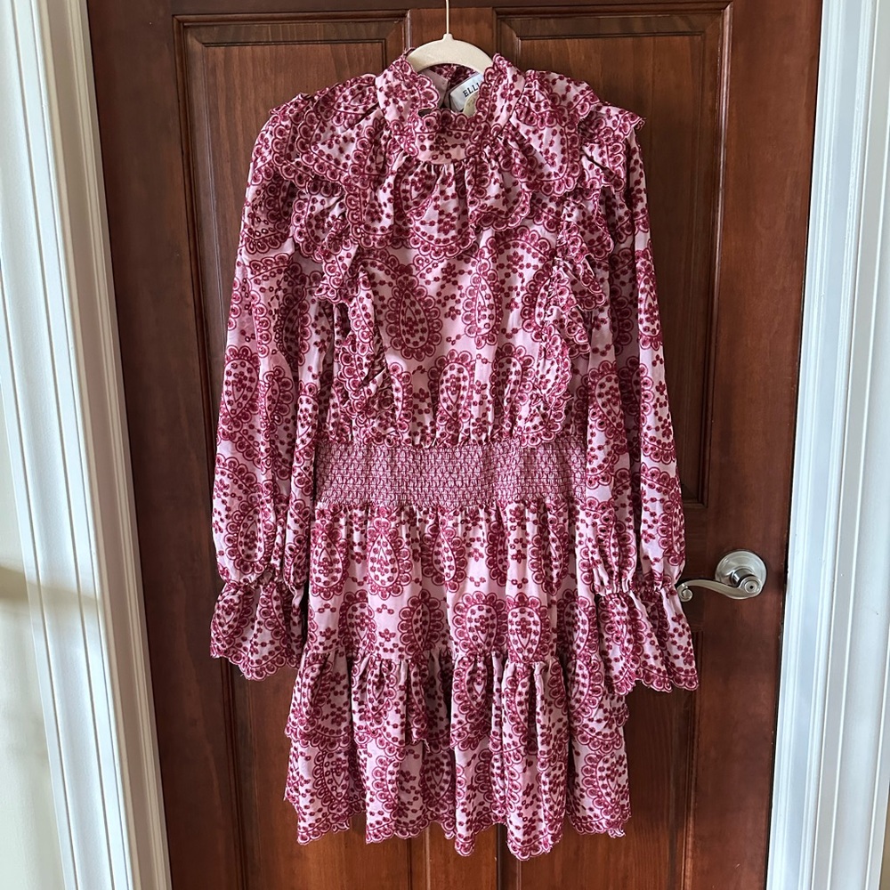 Elliatt Pink Paisley Ruffle Long-Sleeve Mini Dress